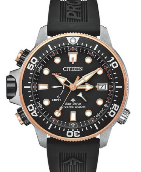 citizen pro diver